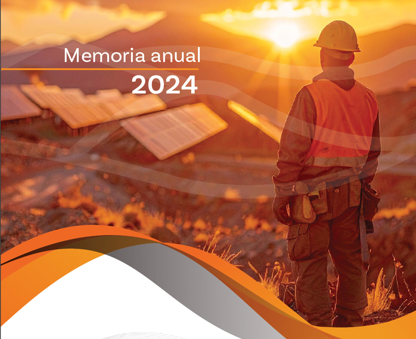 memoria anual 2024
